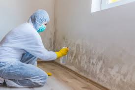 Best Mold Odor Removal Services  in Centerburg, OH